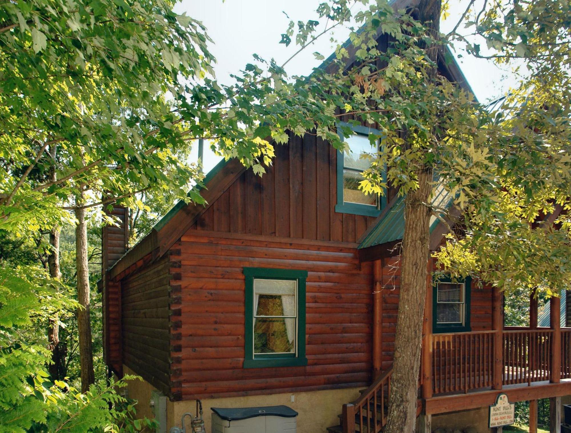 Buddy Bear #249 Pigeon Forge Exterior foto